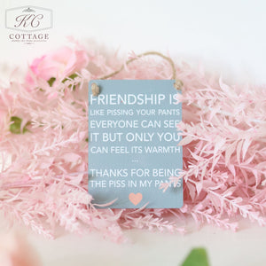 A Gift Set - Best Friend with the text: "FRIENDSHIP IS LIKE PISSING YOUR PANTS. EVERYONE CAN SEE IT BUT ONLY YOU CAN FEEL ITS WARMTH... THANKS FOR BEING THE PISS IN MY PANTS," on a light blue background, hanging in front of pink flowers—perfect home decor.