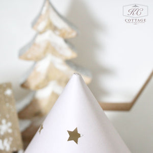 SECONDS - Christmas Robin LED House