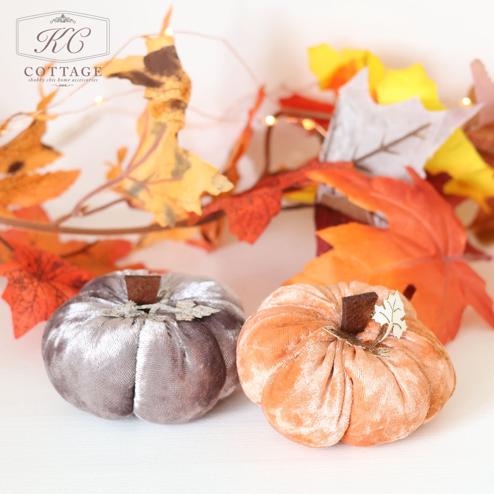 Autumn Velvet Pumpkins