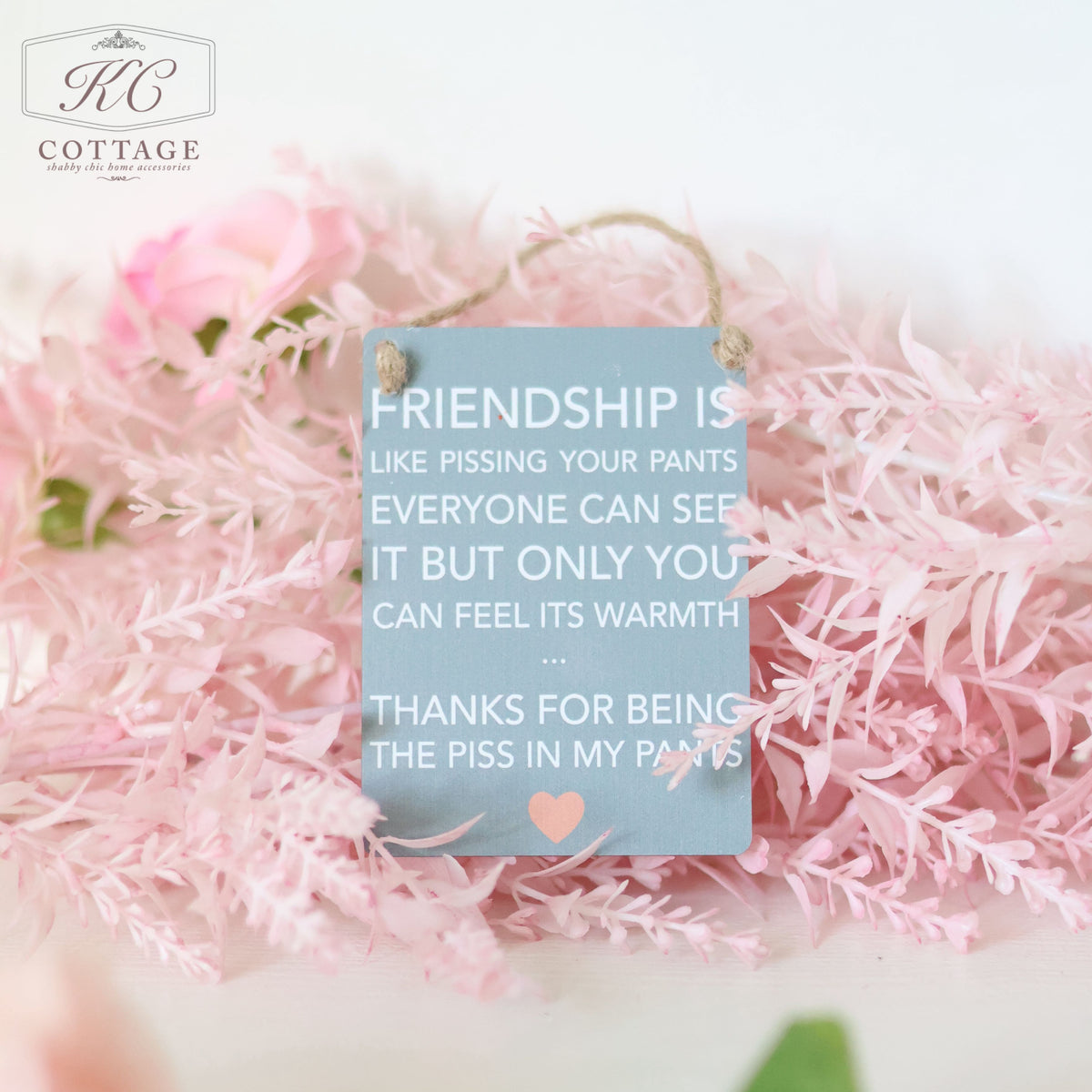 A Gift Set - Best Friend with the text: "FRIENDSHIP IS LIKE PISSING YOUR PANTS. EVERYONE CAN SEE IT BUT ONLY YOU CAN FEEL ITS WARMTH... THANKS FOR BEING THE PISS IN MY PANTS," on a light blue background, hanging in front of pink flowers—perfect home decor.