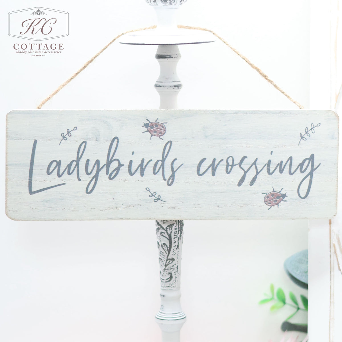 A wooden sign hanging by a rope reads "Ladybirds crossing" in cursive text. The Wooden Garden Hanging Plaques are adorned with small ladybird illustrations on a whitewashed background, perfect for any nature lover's garden. The Wooden Garden Hanging Plaques are charmingly placed in front of a white decorative lamp or post.